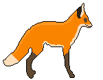 Fox Idle Cycle